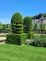 Villandry &ndash; &copy; Wolfgang Kowalewski (Eberhardt TRAVEL)