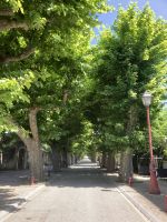 Viviers &ndash; &copy; Roswitha Zytowski (Eberhardt TRAVEL)