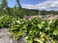 Viviers &ndash; &copy; Roswitha Zytowski (Eberhardt TRAVEL)
