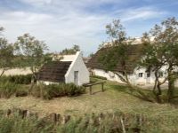 Camargue &ndash; &copy; Roswitha Zytowski (Eberhardt TRAVEL)