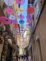 Avignon &ndash; &copy; Roswitha Zytowski (Eberhardt TRAVEL)