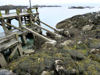 Ebbe auf Chaussey  &ndash; &copy; Gina Egenolf (Eberhardt TRAVEL)