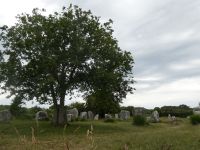 Steine von Carnac  &ndash; &copy; Gina Egenolf (Eberhardt TRAVEL)
