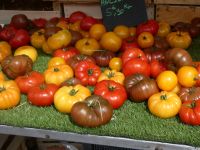 Alte Tomatensorten &ndash; &copy; Gina Egenolf (Eberhardt TRAVEL)
