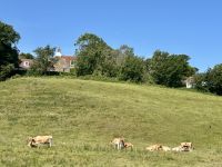 IMG 0882 &ndash; &copy; Birgit Kirchner (Eberhardt TRAVEL)