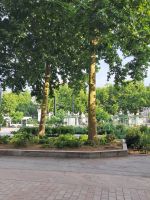 Nantes 