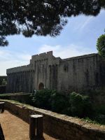 Angers 