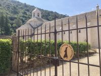Provence intensive vom 21.-28.6.25: Das Kloster Senanque &ndash; &copy; Ekkehard Villing (Eberhardt TRAVEL)