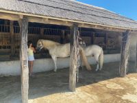 auf der Pferderanch &ndash; &copy; G. Adamietz (Eberhardt TRAVEL)