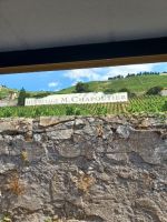 Hermitage -Weinberg der Familie M.Chapoutier &ndash; &copy; Ute Solf (Eberhardt TRAVEL)