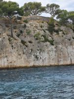 Cassis 