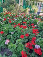 Giverny  &ndash; &copy; Wolfgang Kowalewski (Eberhardt TRAVEL)