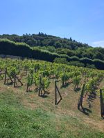 Boscherville  &ndash; &copy; Wolfgang Kowalewski (Eberhardt TRAVEL)