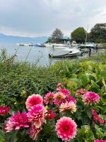Genfersee-Uferpromenade &ndash; &copy; Ute Solf (Eberhardt TRAVEL)