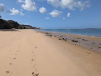 33. Die Plage de la Corniche bei der Dune du Pilat.jpg &ndash; &copy; Florian Härtl (Eberhardt TRAVEL)