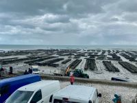 Austernbänke &ndash; &copy; G. Adamietz (Eberhardt TRAVEL)