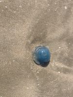 Deauville &ndash; &copy; Roswitha Zytowski (Eberhardt TRAVEL)