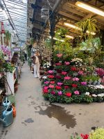 Marche´ aux Fleurs &ndash; &copy; G. Adamietz (Eberhardt TRAVEL)