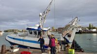 frischer Jakobsmuschel Fang wird gelöscht &ndash; &copy; Katja Haubold (Eberhardt TRAVEL)