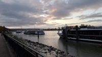 Morgenstimmung an der Seine