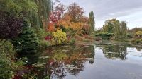 Seerosenteich Giverny &ndash; &copy; Katja Haubold (Eberhardt TRAVEL)