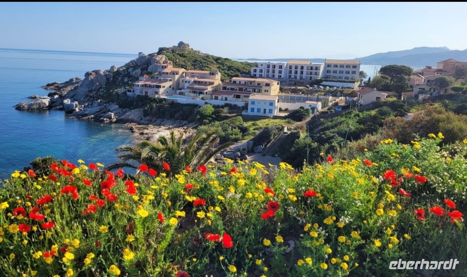 Blick auf Calvi &ndash; &copy; Franciska Bauer (Eberhardt TRAVEL)