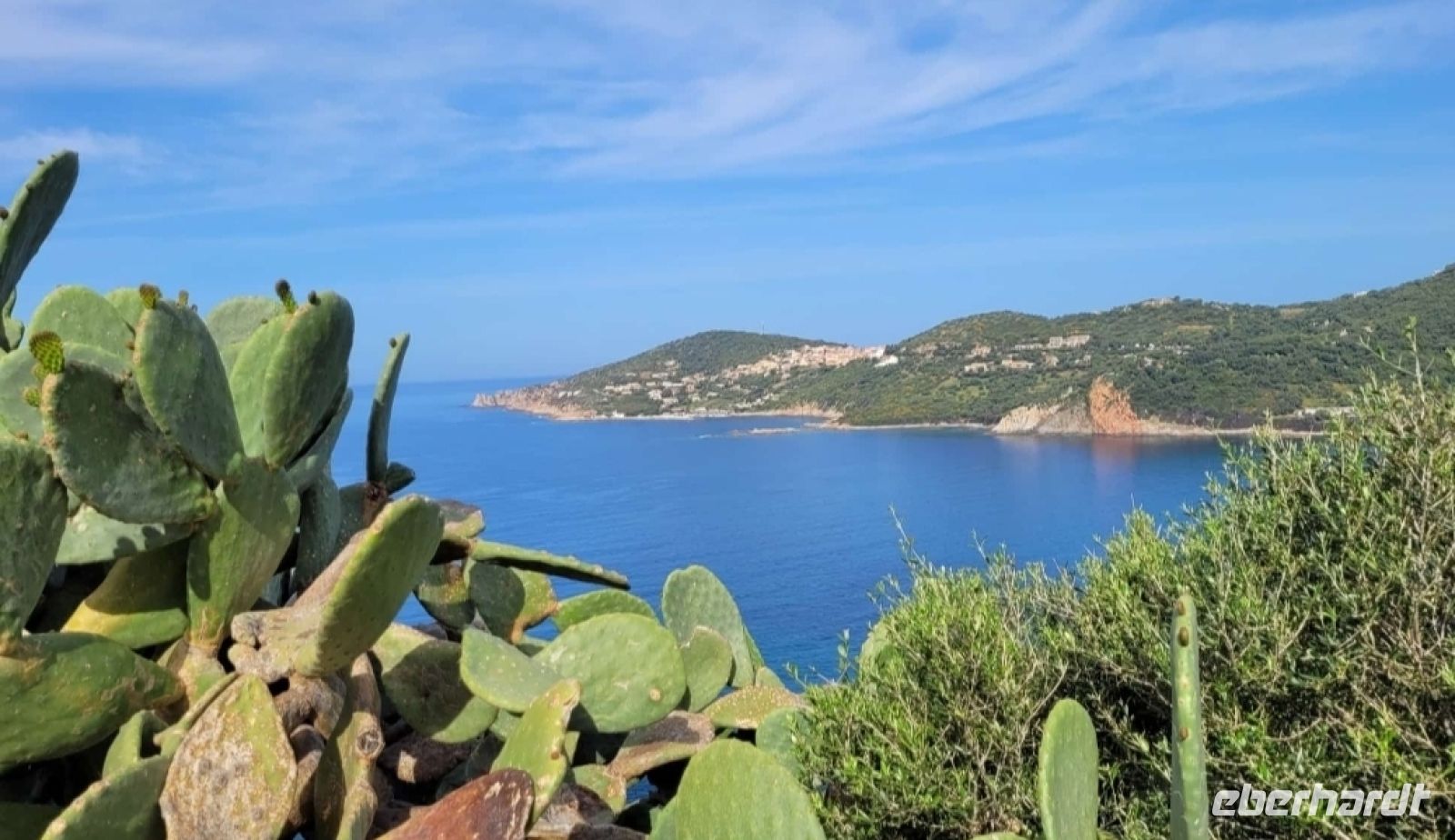 Blick auf Calvi &ndash; &copy; Franciska Bauer (Eberhardt TRAVEL)