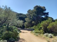 Parc de Salaccia