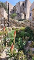 Oberstadt Calvi Festung