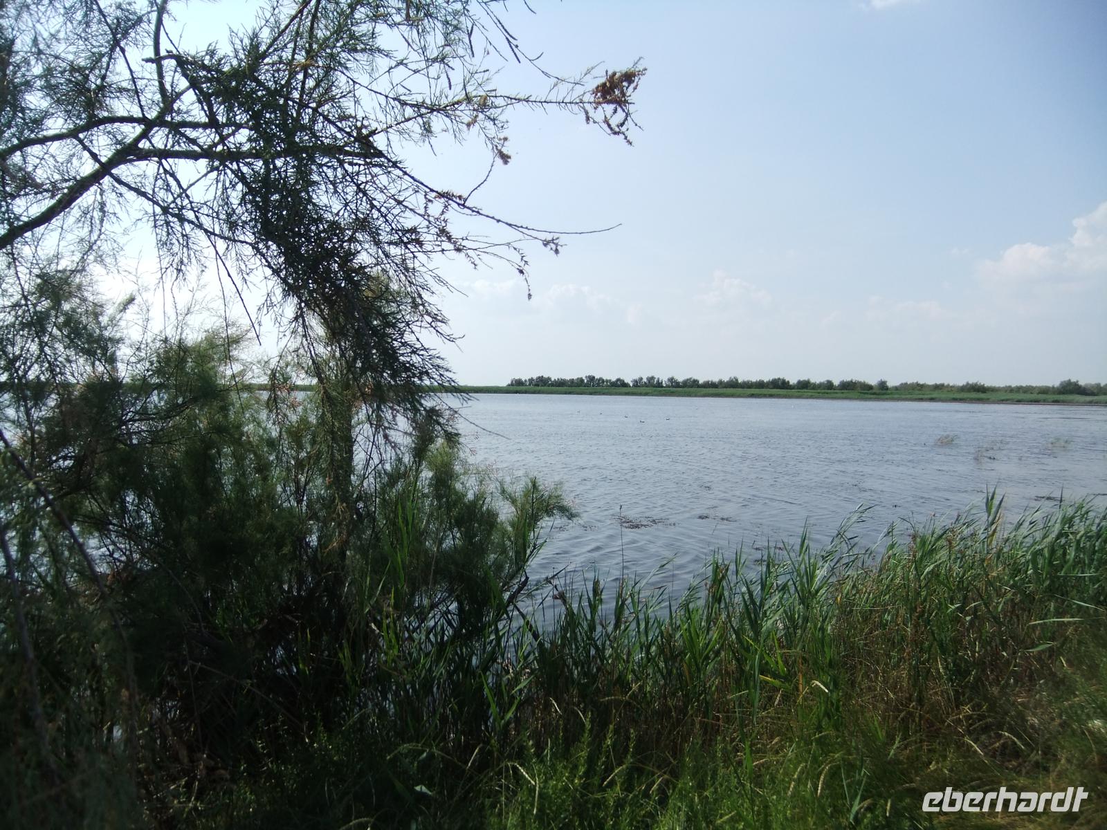 Camargue, Etang de Vaccarès  &ndash; &copy; Peter Großer (Eberhardt TRAVEL)