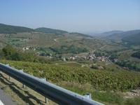 Beaujolais &ndash; &copy; Peter Großer (Eberhardt TRAVEL)