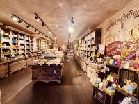 Single-Reise Südfrankreich - Nizza City Tour 