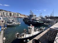 Single-Reise Südfrankreich - Nizza Hafen