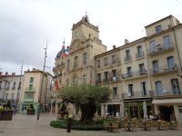 Rathaus und 2000-jähriger Olivenbaum, Béziers, Frankreich &ndash; &copy; Saskia Pinnow (Eberhardt TRAVEL)
