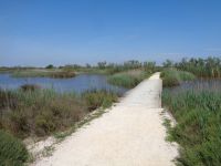 Ornithologischer Park 