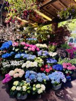 5. Tag - Blumenmarkt, Paris  &ndash; &copy; Christin Kuschka (Eberhardt TRAVEL)
