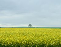 6. Tag - Heimfahrt von Paris nach Dresden  &ndash; &copy; Christin Kuschka (Eberhardt TRAVEL)