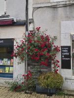 2026-05_Loire_Rad: Beaugency - Stillleben &ndash; &copy; Dieter Braune (Eberhardt TRAVEL)