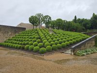 2026-05_Loire_Rad: Amboise - Königsschloß - Gartenanlage &ndash; &copy; Dieter Braune (Eberhardt TRAVEL)