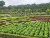 2026-05_Loire_Rad: Gärten von Villandry - Gemüsegarten