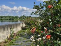 2026-05_Loire_Rad: Candes-St.-Martin - Musikgarten &ndash; &copy; Dieter Braune (Eberhardt TRAVEL)