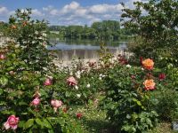 2026-05_Loire_Rad: Candes-St.-Martin - Musikgarten &ndash; &copy; Dieter Braune (Eberhardt TRAVEL)