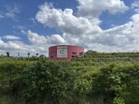 2026-05_Loire_Rad: Weingut Chenon &ndash; &copy; Dieter Braune (Eberhardt TRAVEL)