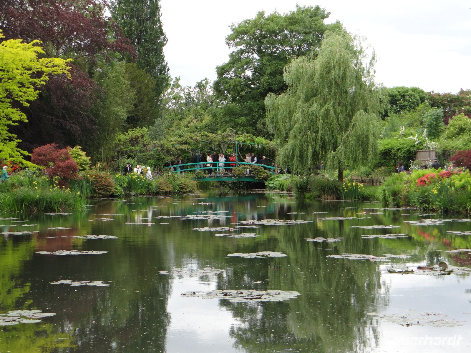 Giverny, der berühmte Seerosenteich &ndash; &copy; Vivian Kreft (Eberhardt TRAVEL)