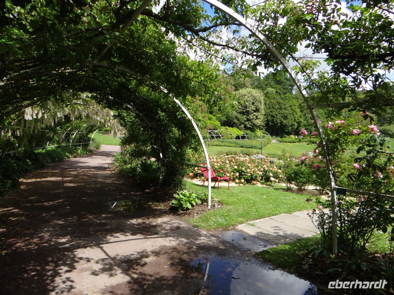 Parc Floral de la Colline aux Oiseaux, eine Pergola rahmt den Rosengarten. &ndash; &copy; Vivian Kreft (Eberhardt TRAVEL)