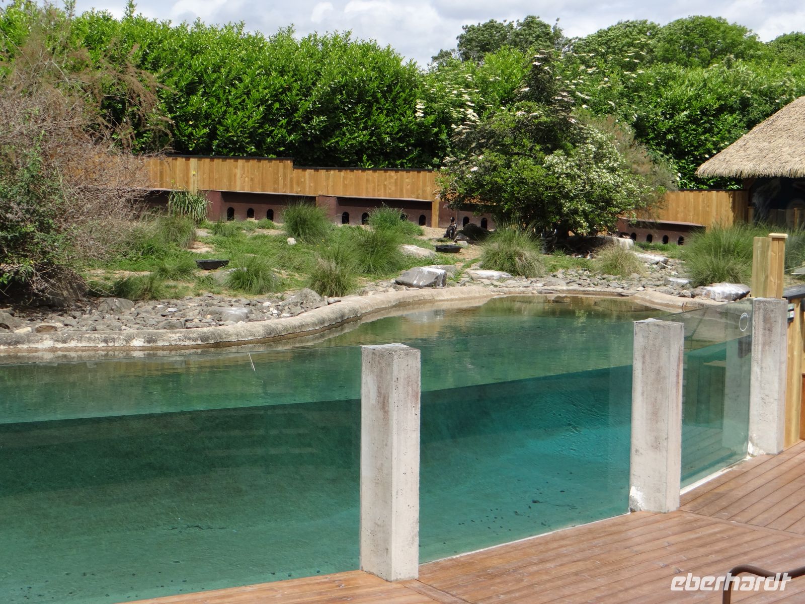 Zoo de Champrépus, Wellnessbereich der Pinguine &ndash; &copy; Vivian Kreft (Eberhardt TRAVEL)