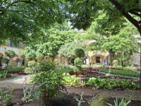 der Krankenhausgarten in Arles &ndash; &copy; Ute Solf (Eberhardt TRAVEL)