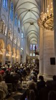 Paris-Spaziergang, Notre Dame &ndash; &copy; Wolf-Rüdiger Meyer (Eberhardt TRAVEL)