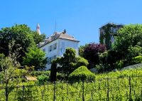 20260526 Weinberg und Montmartremuseum &ndash; &copy; Antje Kahnt (Eberhardt TRAVEL)