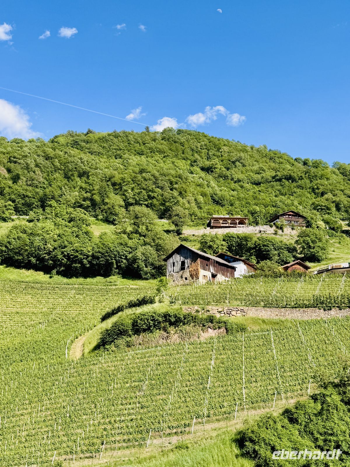 1. Tag - Weinanbau in Italien &ndash; &copy; Christin Kuschka (Eberhardt TRAVEL)